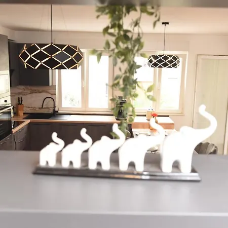 Navigo Apartment